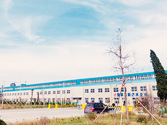 Henan Tianyu Garment Import And Export Co.,Ltd